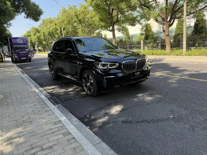 BMW X5 2022 Model xDrive 40Li Exclusive Model M Sports Set – фото 3
