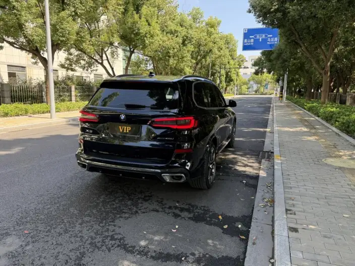 BMW X5 2022 Model xDrive 40Li Exclusive Model M Sports Set – фото 6