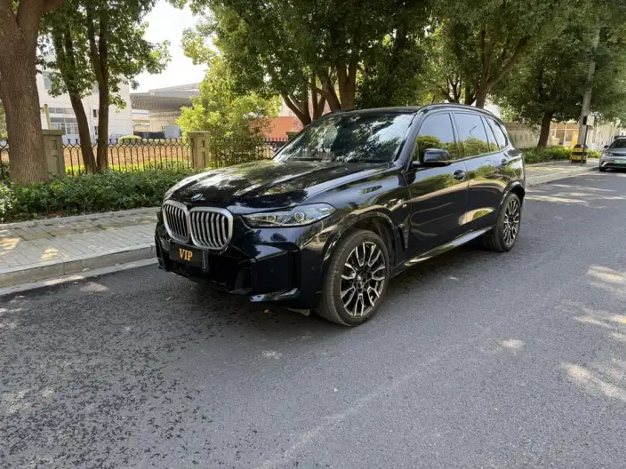 BMW X5 2023 Model xDrive40Li M Sports Set – фото 1