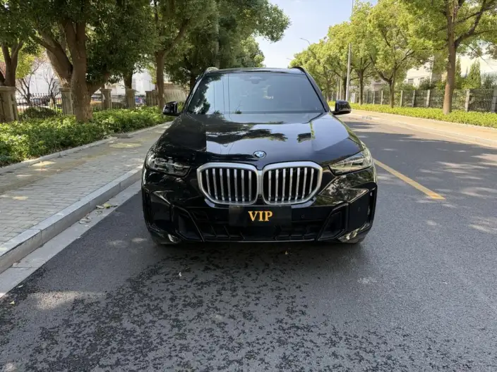 BMW X5 2023 Model xDrive40Li M Sports Set – фото 2
