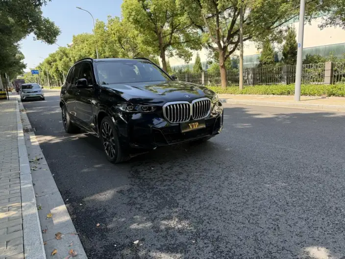 BMW X5 2023 Model xDrive40Li M Sports Set – фото 3