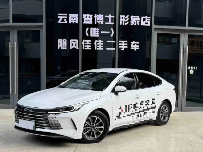 BYD Destroyer 05 2024 Model Honor Edition DM-i 55KM Luxury Model – фото 1