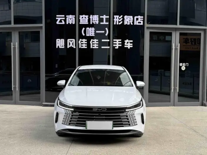 BYD Destroyer 05 2024 Model Honor Edition DM-i 55KM Luxury Model – фото 2