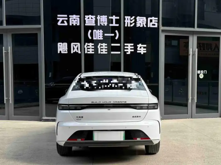 BYD Destroyer 05 2024 Model Honor Edition DM-i 55KM Luxury Model – фото 4
