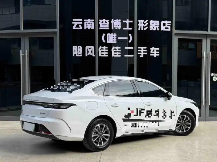 BYD Destroyer 05 2024 Model Honor Edition DM-i 55KM Luxury Model – фото 5