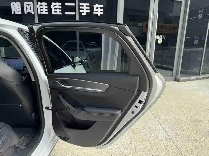 BYD Destroyer 05 2024 Model Honor Edition DM-i 55KM Luxury Model – фото 9