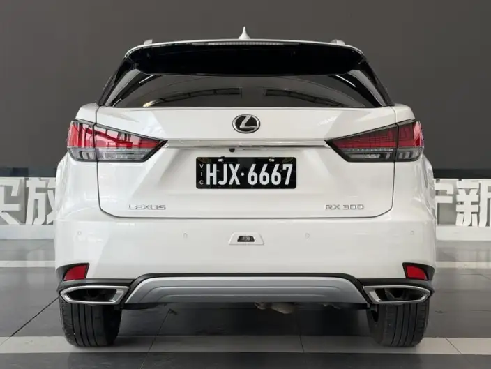 Lexus RX 2020 Model Facelift 300 4WD Elegant Edition – фото 6