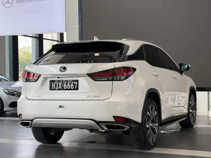 Lexus RX 2020 Model Facelift 300 4WD Elegant Edition – фото 7