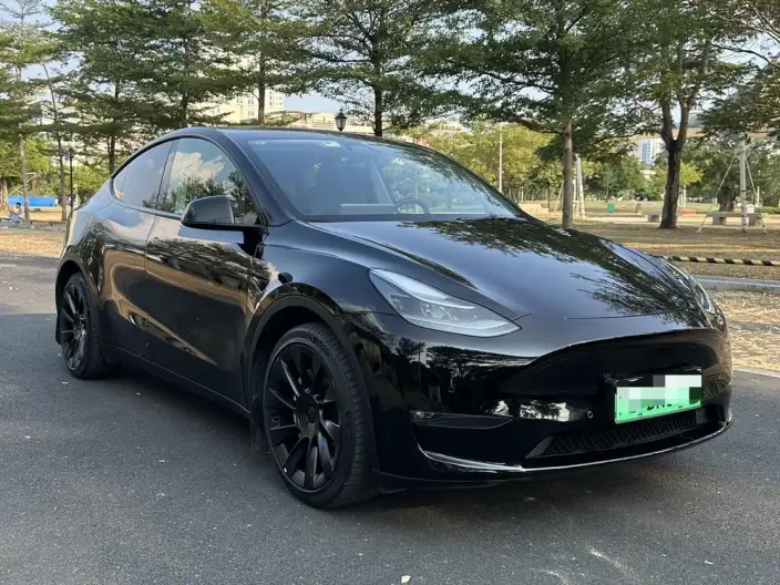 Model Y 2022 Model Long Battery Life Pro All-wheel drive version – фото 3