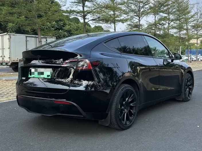 Model Y 2022 Model Long Battery Life Pro All-wheel drive version – фото 7