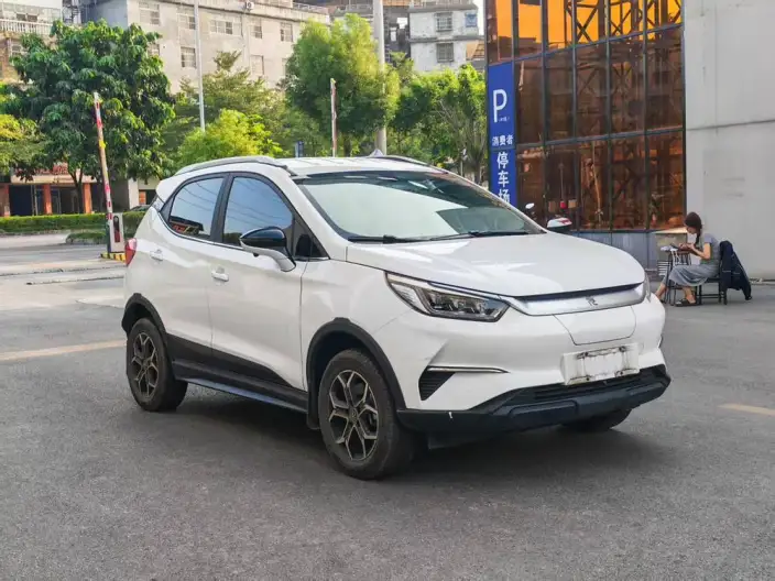 Yuan Pro 2021 Model 401KM Luxury Model – фото 3