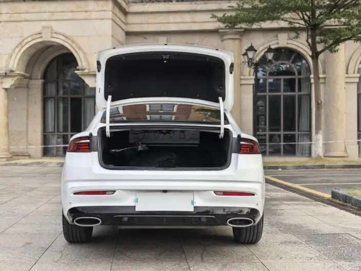 Geely StarRui 2023 Model 2.0T Noble Model – фото 7