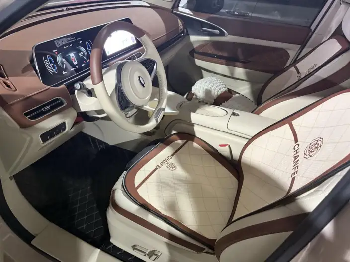 ORA Good Cat 2024 Model 401km Luxury Model – фото 9