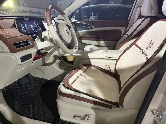 ORA Good Cat 2024 Model 401km Luxury Model – фото 10