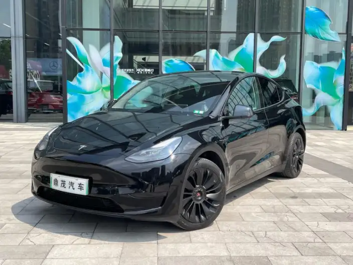 Model Y 2022 Model Facelift Rear-wheel drive version – фото 1