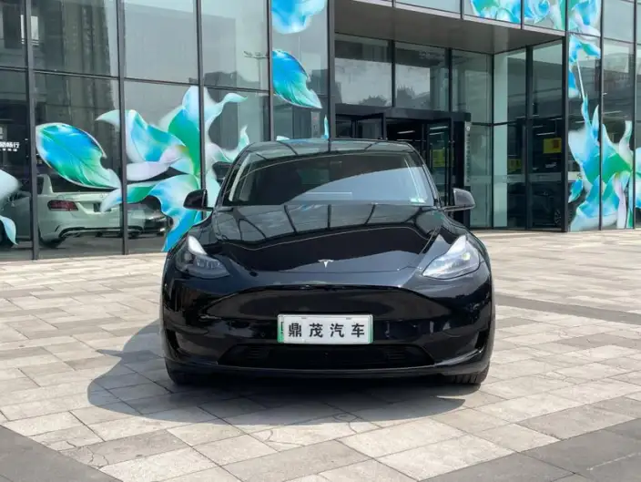 Model Y 2022 Model Facelift Rear-wheel drive version – фото 2