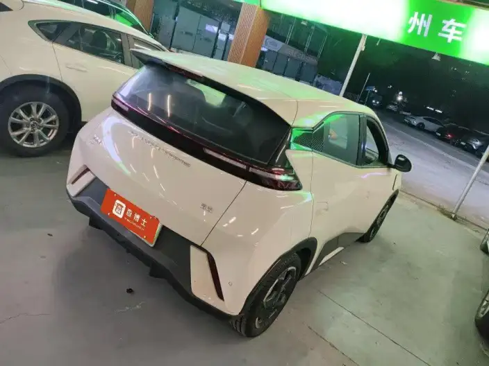 BYD Seagull 2024 Model Honor Edition 405KM Feixiang Edition – фото 3