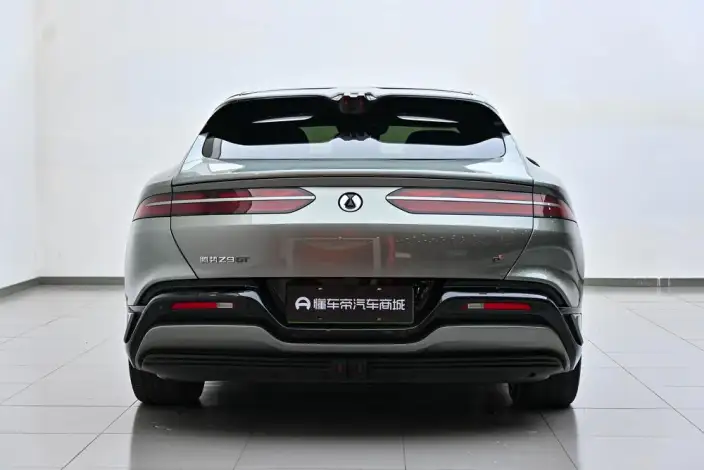 DENZA Z9GT DM 2024 Model 1100 4WD Ultra Edition – фото 6