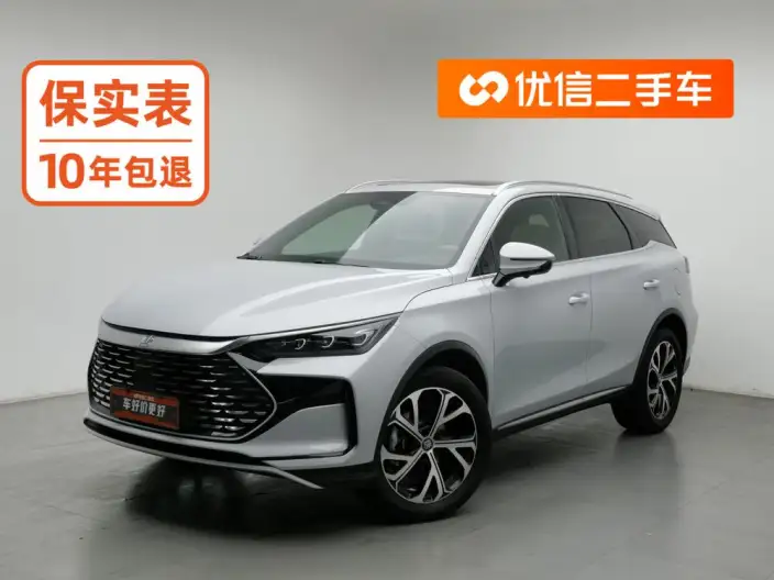 BYD Tang DM 2025 Model DM-i 115KM Noble Model – фото 1