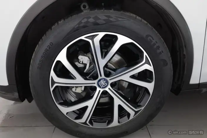 BYD Tang DM 2025 Model DM-i 115KM Noble Model – фото 9