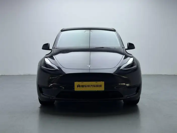 Model Y 2024 Model Rear-wheel drive version – фото 2