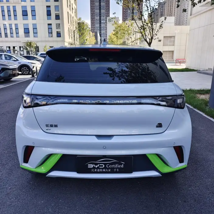 BYD Dolphin 2021 Model Fashion Edition – фото 4