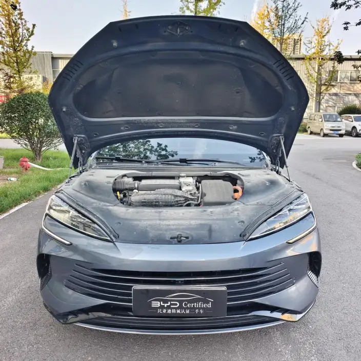 BYD Seal DM 2024 Model Honor Edition DM-i 1.5L 121KM Noble Model – фото 8