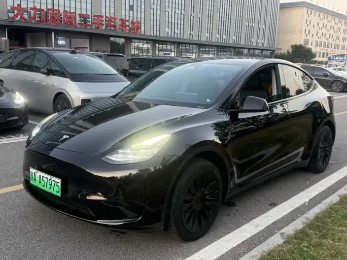 Model Y 2022 Model Rear-wheel drive version – фото 1