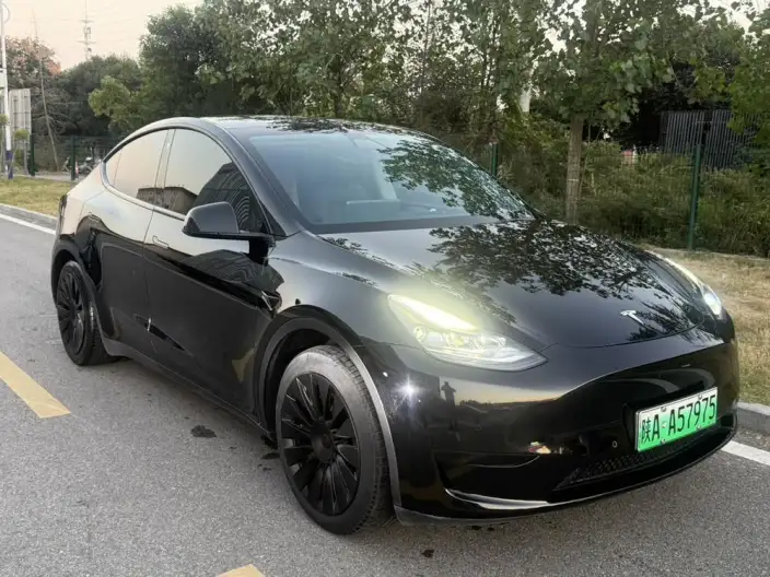 Model Y 2022 Model Rear-wheel drive version – фото 3