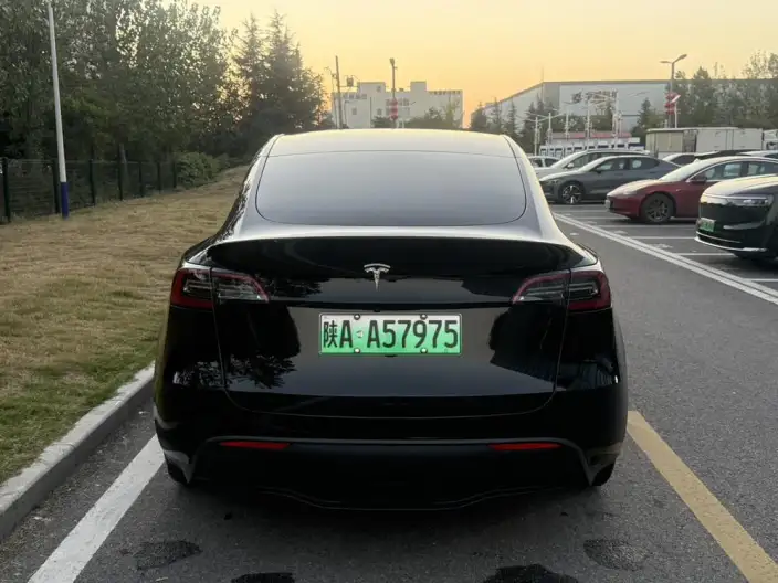 Model Y 2022 Model Rear-wheel drive version – фото 5