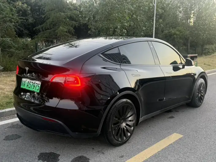 Model Y 2022 Model Rear-wheel drive version – фото 6