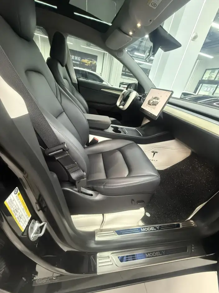 Model Y 2022 Model Rear-wheel drive version – фото 8