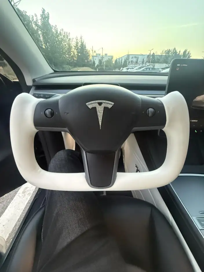 Model Y 2022 Model Rear-wheel drive version – фото 9