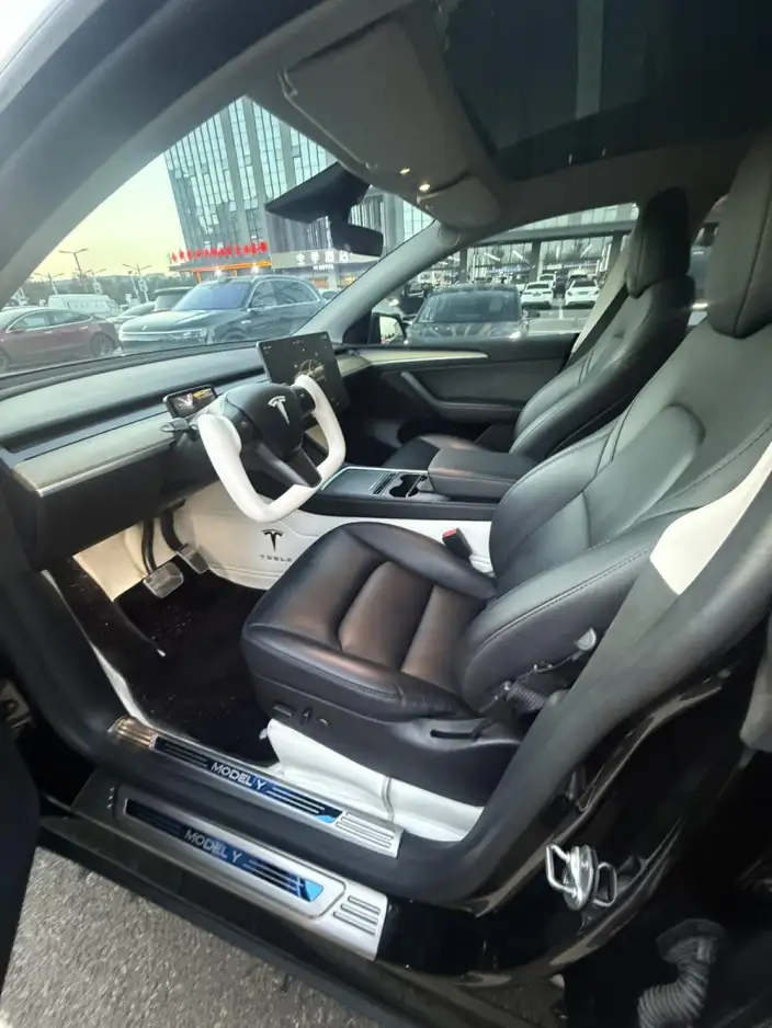 Model Y 2022 Model Rear-wheel drive version – фото 10