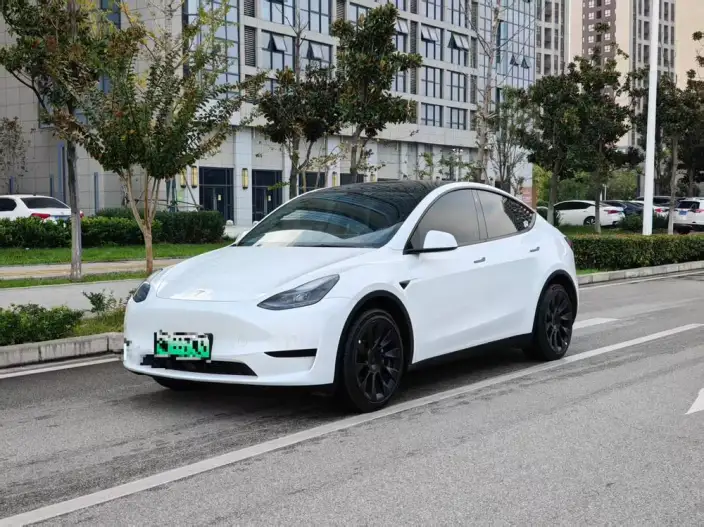 Model Y 2023 Model Rear-wheel drive version – фото 1