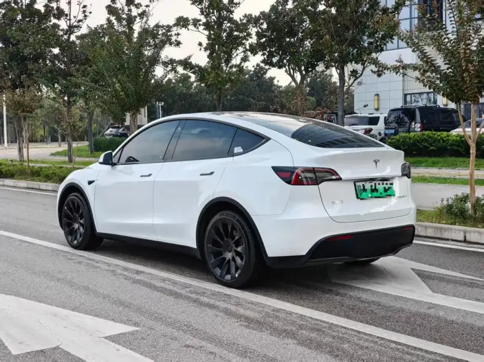 Model Y 2023 Model Rear-wheel drive version – фото 3