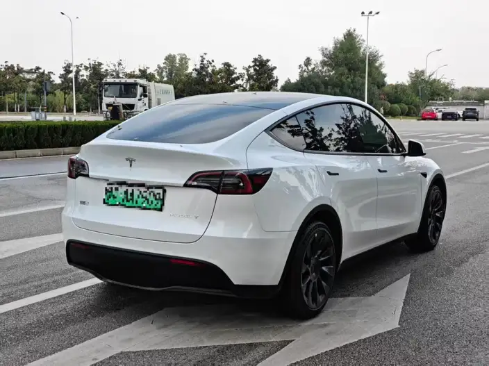 Model Y 2023 Model Rear-wheel drive version – фото 4