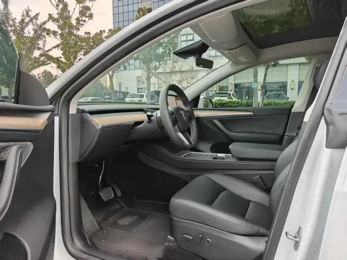 Model Y 2023 Model Rear-wheel drive version – фото 8