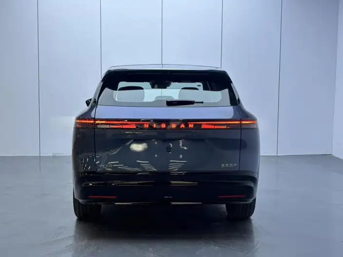 Nissan NX8 2026 Model EV 650 Max – фото 5