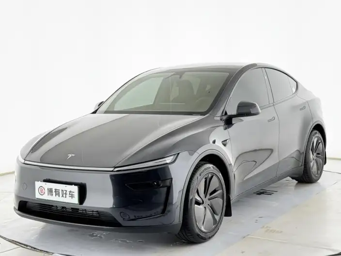 Model Y 2026 Model Long Battery Life Pro Rear-wheel drive version – фото 1
