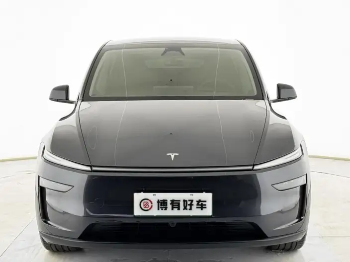 Model Y 2026 Model Long Battery Life Pro Rear-wheel drive version – фото 2