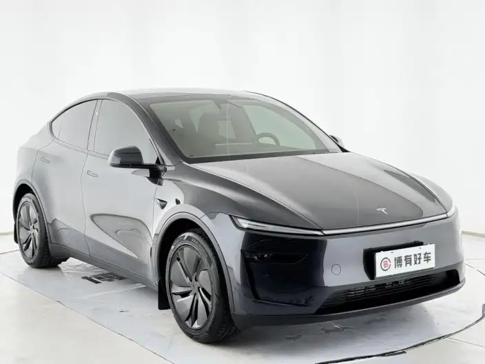 Model Y 2026 Model Long Battery Life Pro Rear-wheel drive version – фото 3
