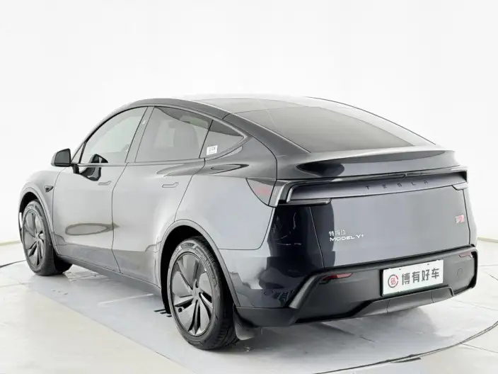 Model Y 2026 Model Long Battery Life Pro Rear-wheel drive version – фото 5