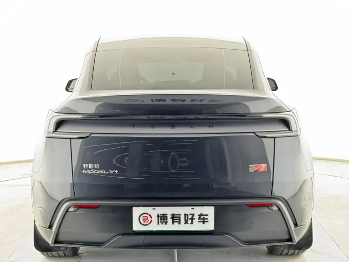 Model Y 2026 Model Long Battery Life Pro Rear-wheel drive version – фото 6
