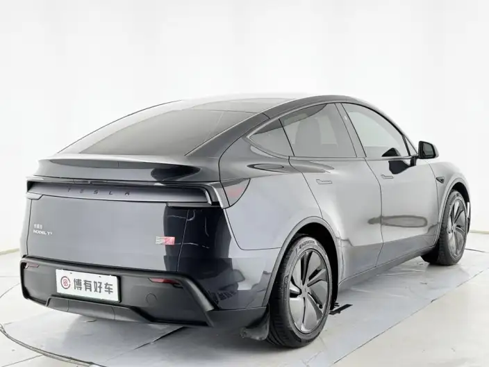 Model Y 2026 Model Long Battery Life Pro Rear-wheel drive version – фото 7