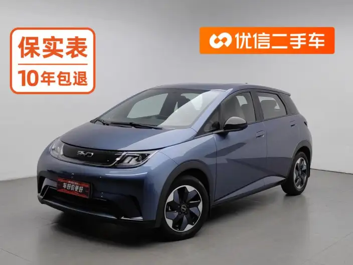 BYD Dolphin 2025 Model 420KM Free Edition