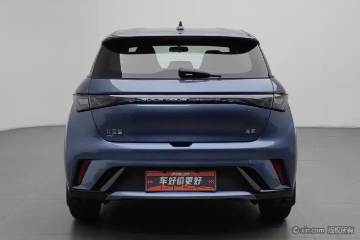 BYD Dolphin 2025 Model 420KM Free Edition