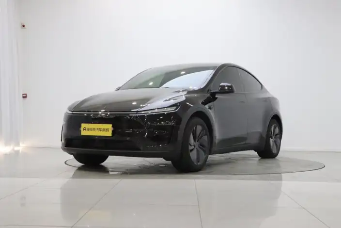 Model Y 2026 Model Long Battery Life Pro Rear-wheel drive version – фото 1