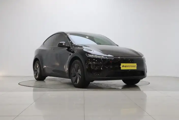 Model Y 2026 Model Long Battery Life Pro Rear-wheel drive version – фото 3