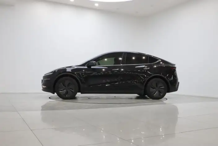 Model Y 2026 Model Long Battery Life Pro Rear-wheel drive version – фото 4